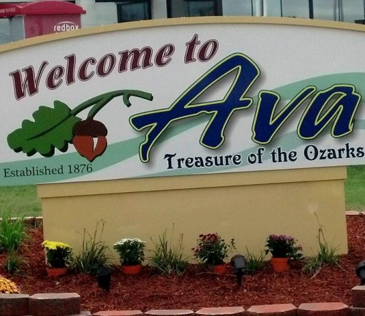 Ava approves one year data center pause