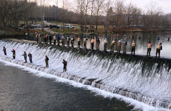 MDC encourages anglers to get hooked on trout fishing