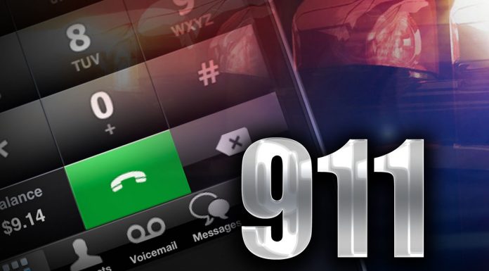 Howell County 911 monthly call summary