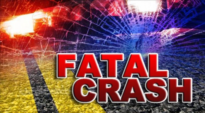 Arkansas man dies from head-on collision