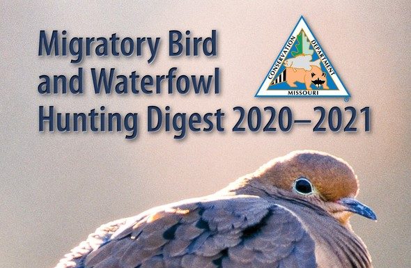 New MDC migratory bird, waterfowl hunting digest now available