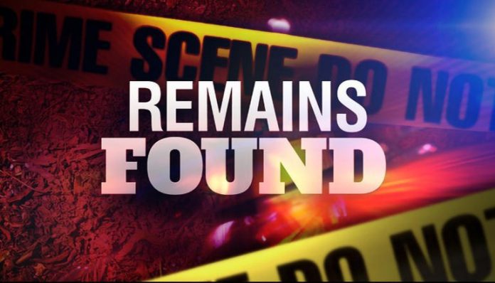 Remains-Found-Graphic