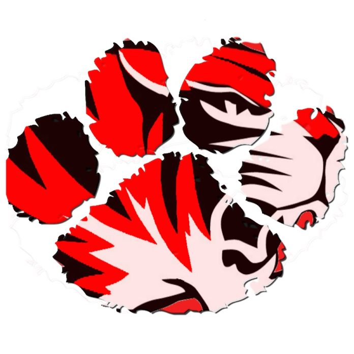 houston tigers