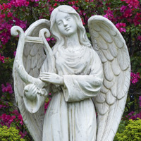 obit_placeholder_13