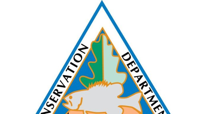 MDC Reminds People to Celebrate Safely this Summer